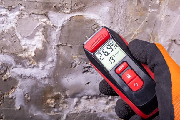 Reliable Crow Agency, MT Mold Removal Solutions