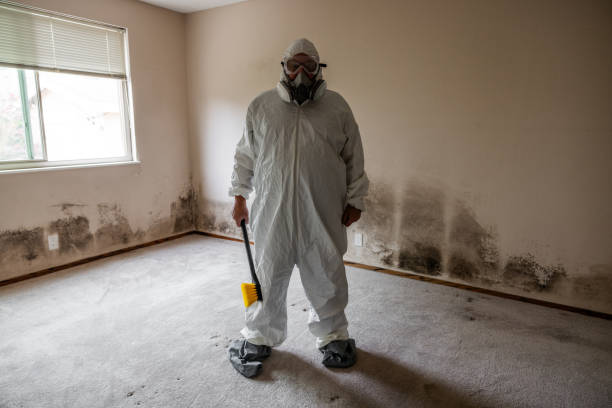 Best Attic Mold Removal  in Crow Agency, MT